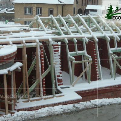 Slanec Lesnoi 10