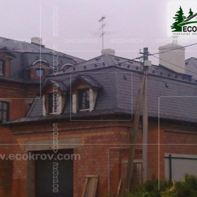 Slanec Lesnoi 11