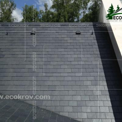 Slanec Gorki2 2013 2